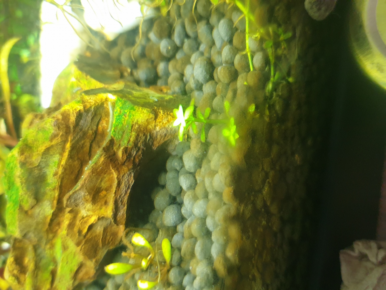 20250131_101655.jpg