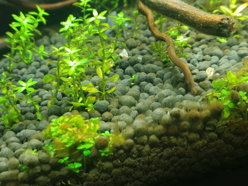 20250131_101746.jpg
