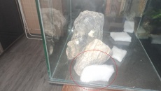zakrycie szczelin pomiędzy skałami