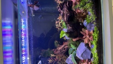Kostka 30x30x30 nano a parametry wody