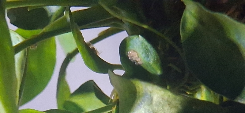 20250511_101148.jpg