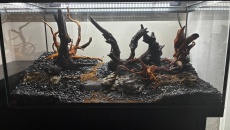 Hardscape bez wody