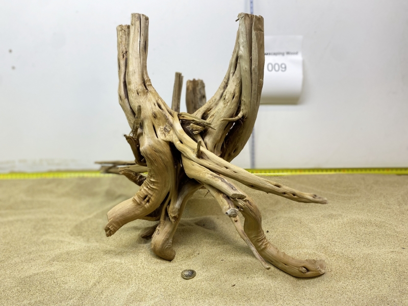 wood009-5.jpg
