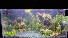 Obsada 300l