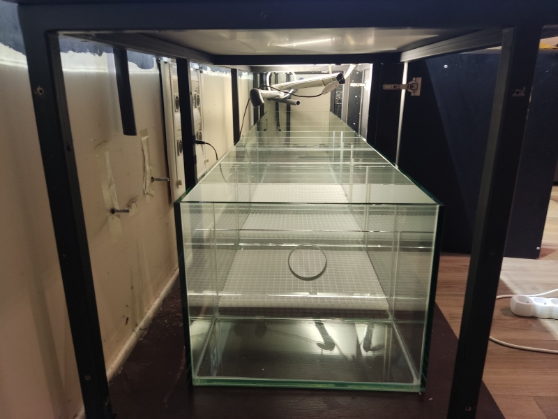 sump2.jpg