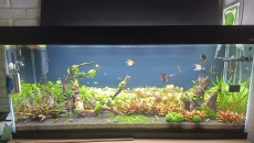 Akwarium 240l