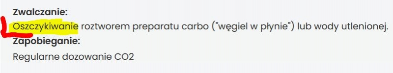 compso_2.JPG