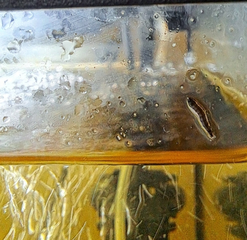 20250908_121626.jpg