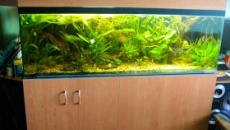 420 l Akwa ściana holenderska