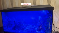 Moje pierwsze akwarium 105l, relacja, pytania, problemy