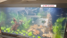 Moje pierwsze akwarium 105l, relacja, pytania, problemy