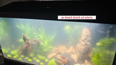 Moje pierwsze akwarium 105l, relacja, pytania, problemy