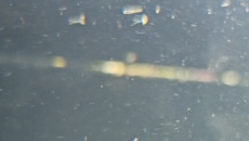 Moje pierwsze akwarium 105l, relacja, pytania, problemy