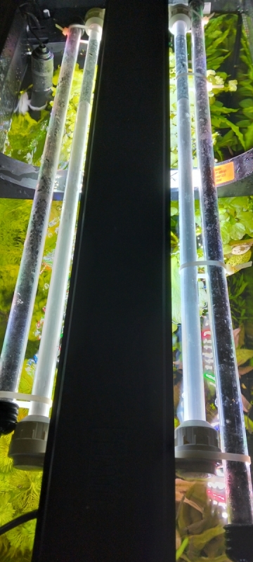 IMG20251022142050.jpg
