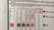 Moje pierwsze akwarium 105l, relacja, pytania, problemy