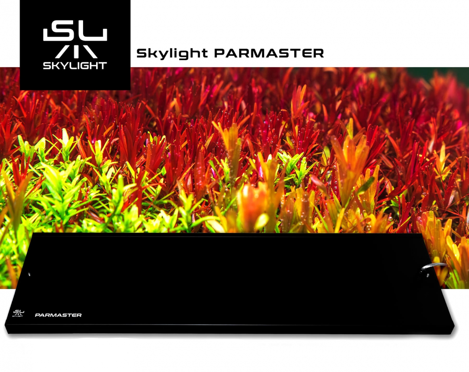 skylight-parmaster-lampa.jpg