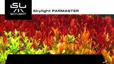Skylight PARMASTER - nowa seria do szerokich akwariów