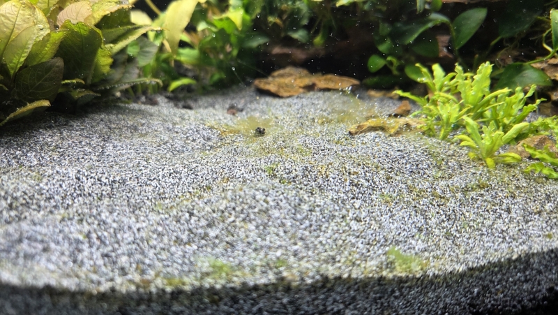 20251101_211452.jpg