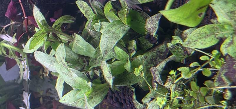 20251115_155110.jpg