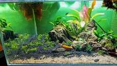 60l - Okolice Khazad-dum