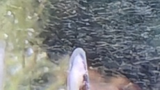 Moje pierwsze akwarium 105l, relacja, pytania, problemy