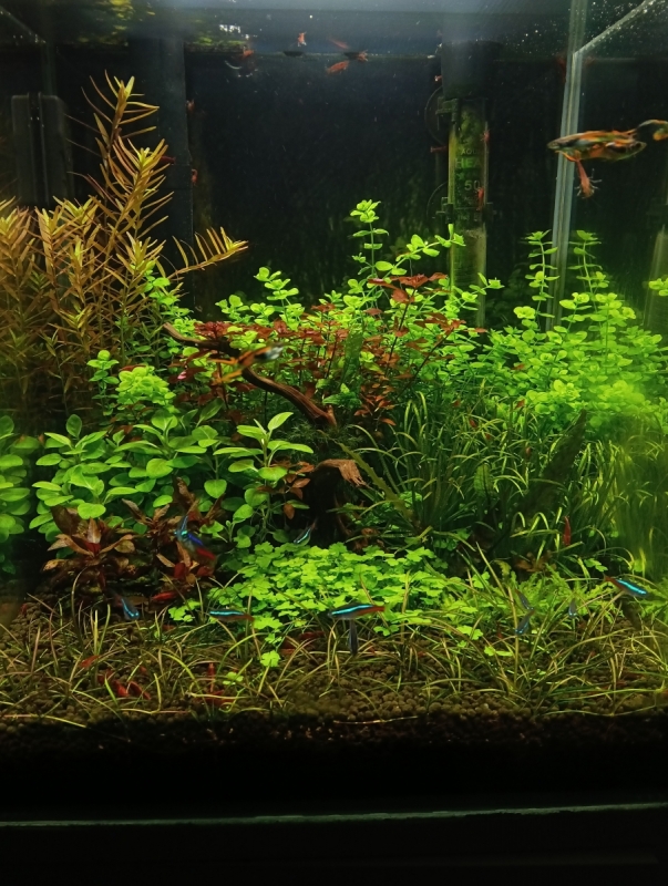 IMG20251122182048.jpg