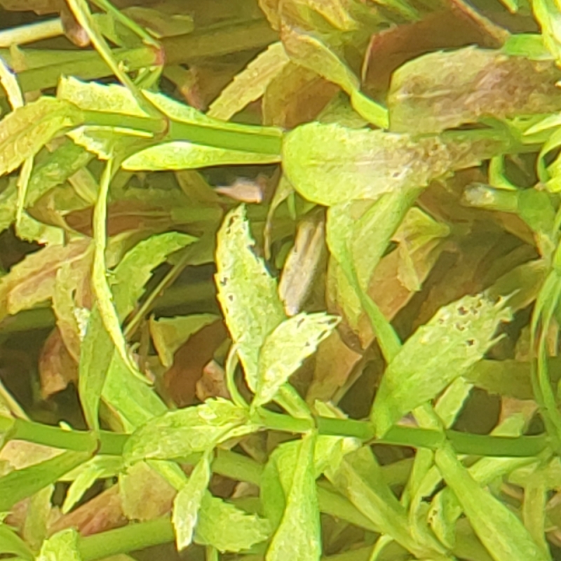 20251123_172135.jpg
