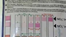 Jaki filtr