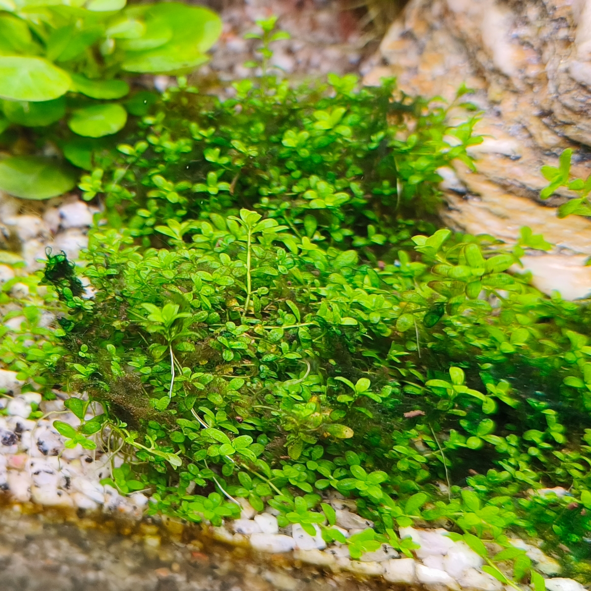 IMG20260103102018.jpg