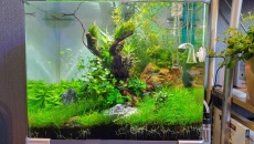 036l - Office Cube