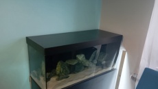 Projekt "Korona"