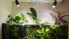 Low tech