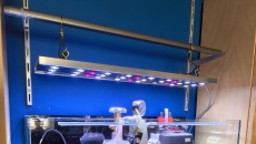 Sprzedam cały zestaw: 84l + kubeł + CO2 + lampa LED