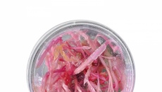 Cryptocoryne balansae Pink