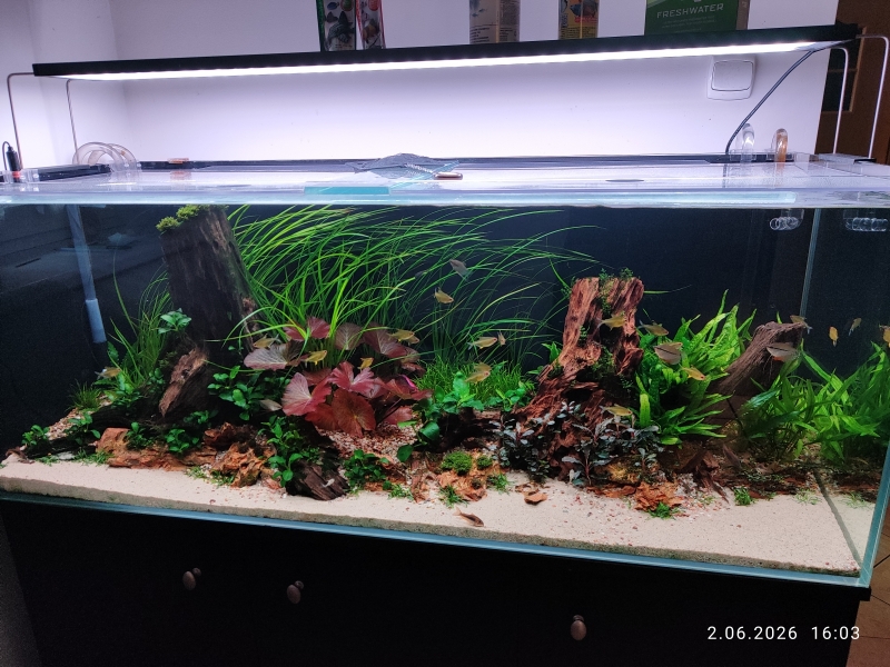 300L ogólne.jpg