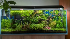 Akwarium Mid-Tech 240 l