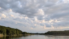 Ekstrakty z roślin wodnych a komórki nowotworowe