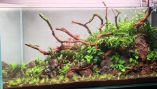 267l Verdant Volcano – Ryoboku