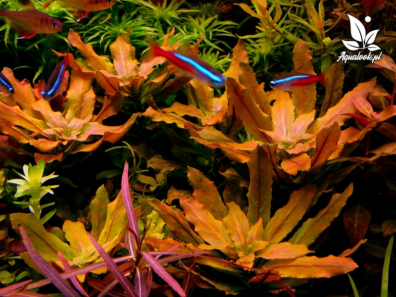 DSCN3480.JPG