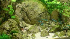 Nano 30L - ...