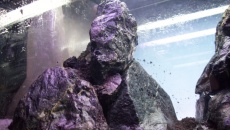 45l "Massive ragwork" - nazwa do wypracowania