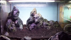45l "Massive ragwork" - nazwa do wypracowania