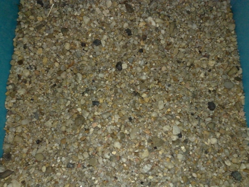 190920101756.jpg