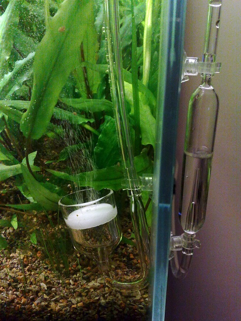 20101012552.jpg