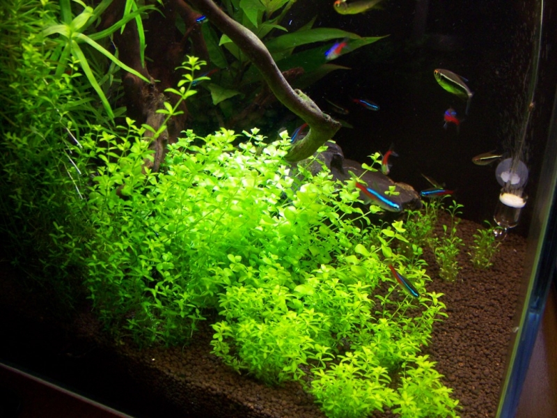 100_2414 [1024x768].JPG