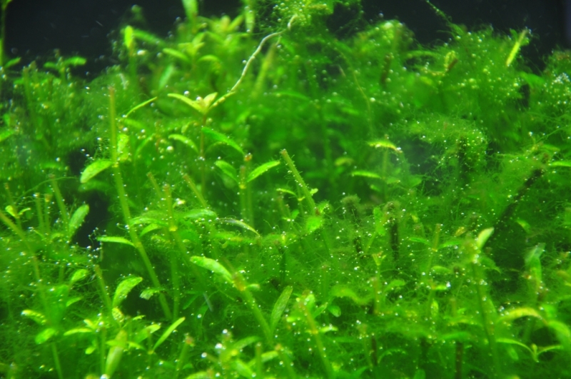 20.12.2010 019.jpg