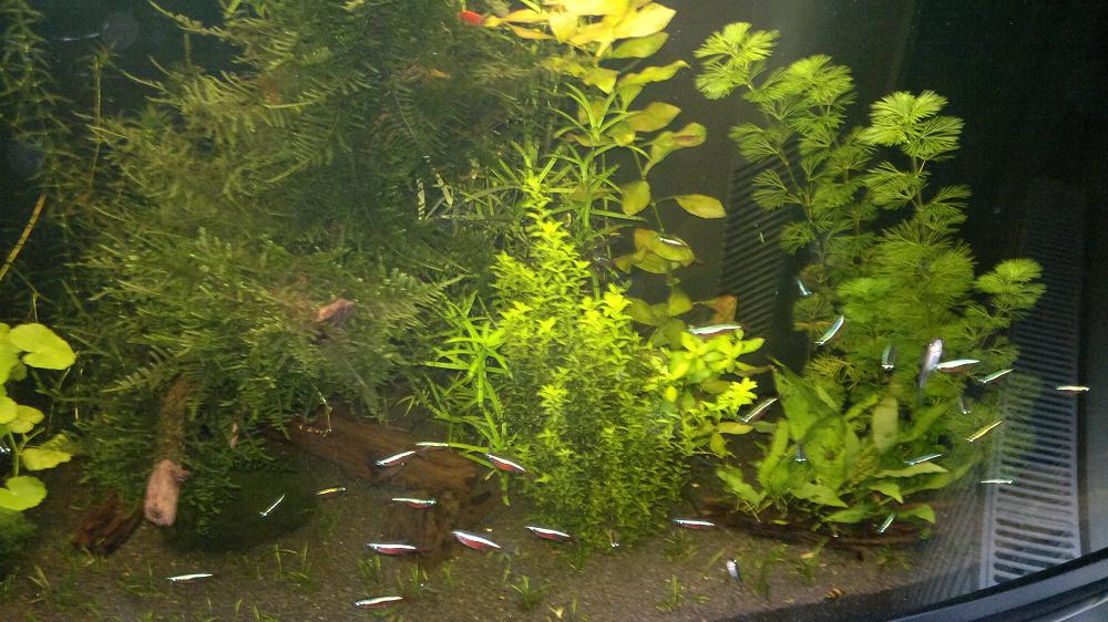 20101231056_2.jpg