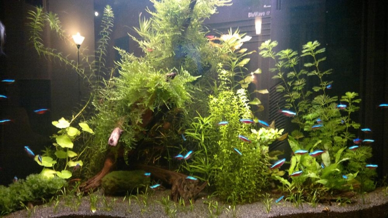 20101231067.jpg