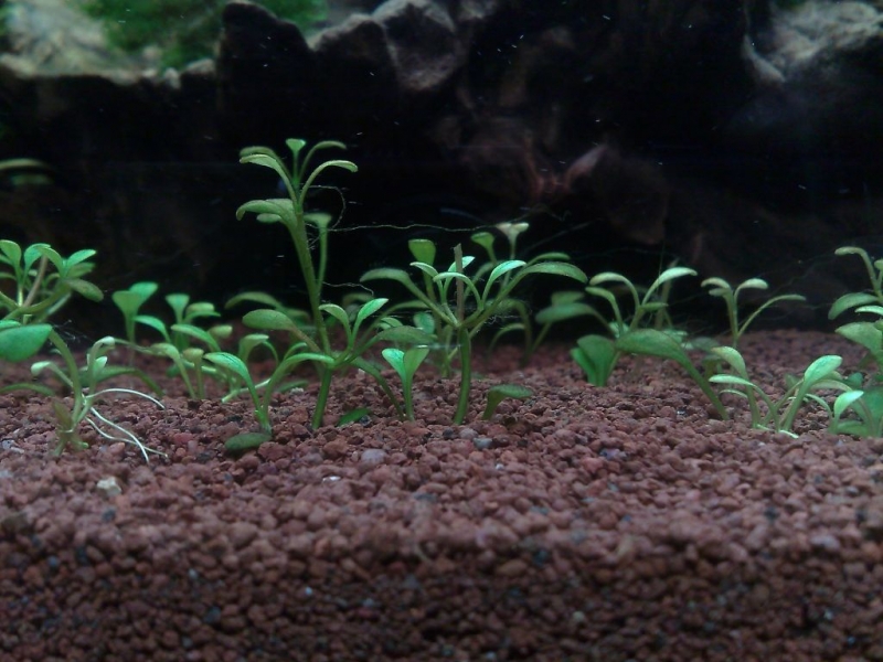 20110101220.jpg