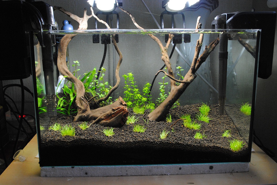 25 l.jpg